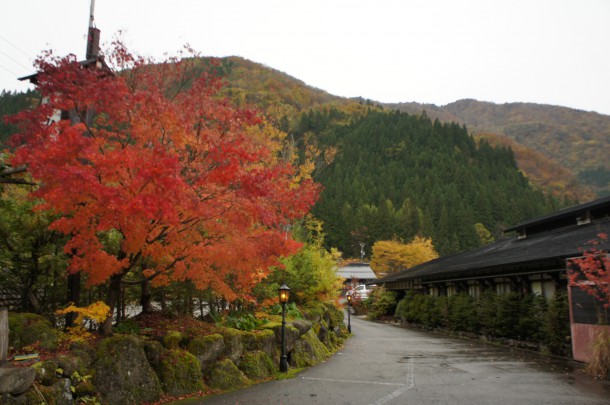 2017年　紅葉情報9