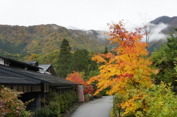 2017年　紅葉情報8