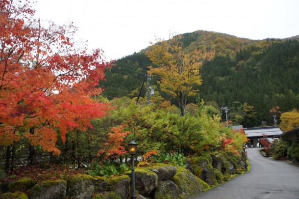 2017年　紅葉情報8