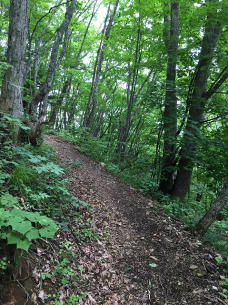 福地山トレッキングルートの整備に行ってきました。