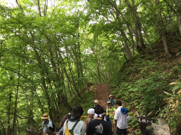 福地山トレッキングルートの整備に行ってきました。