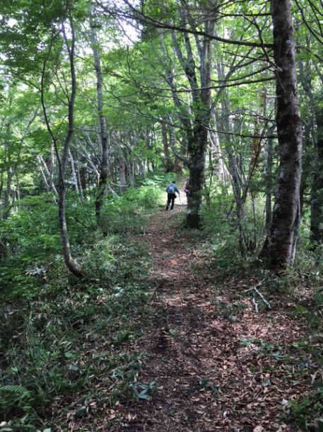 福地山トレッキングルートの整備に行ってきました。