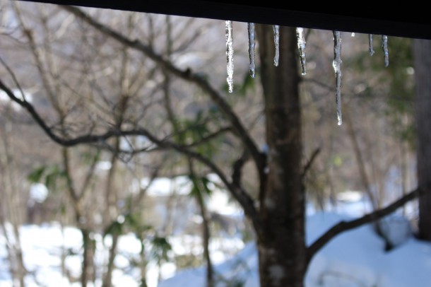 ひだ路と氷の水鉢