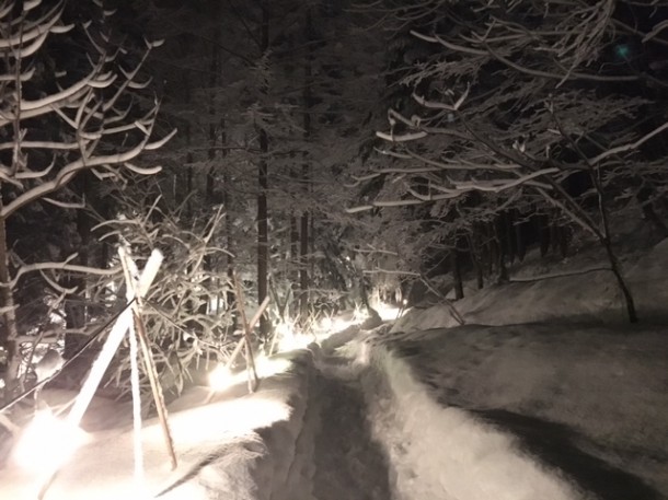 青だる散歩道