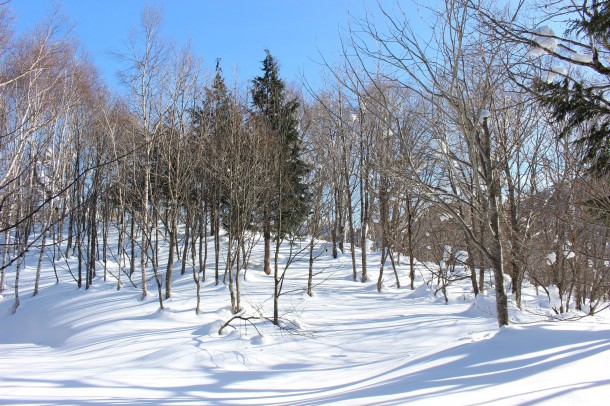 ひだ路と福地山。