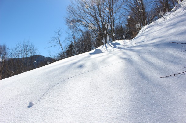 ひだ路と福地山。