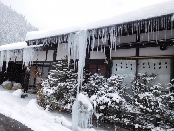 【ひだ路冬だより】本日も大雪です。