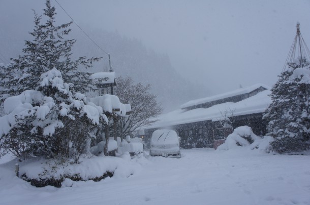 大雪となってます。