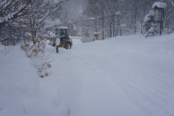 大雪となってます。