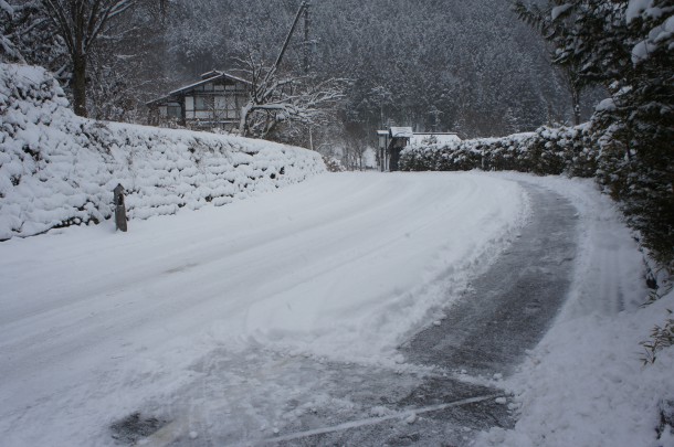 良い雪降ってます。