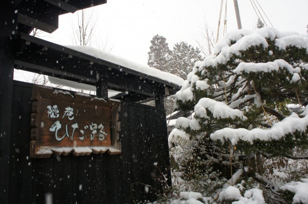 良い雪降ってます。