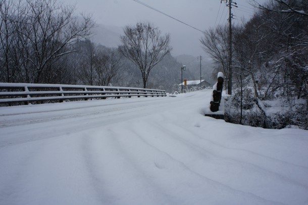 良い雪降ってます。