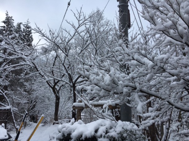 なごり雪♪