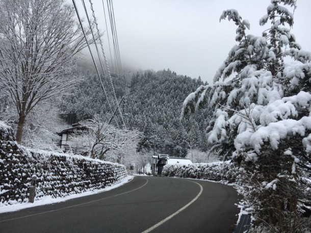 なごり雪♪