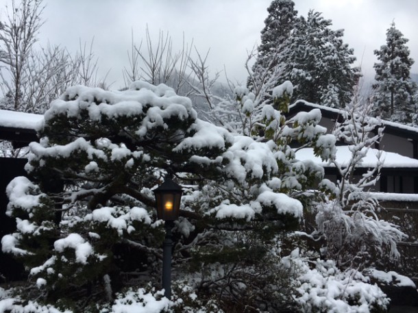 なごり雪♪