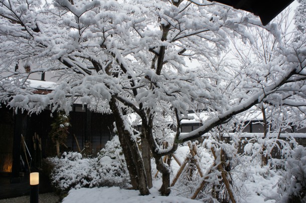 まだ春は遠いようです。