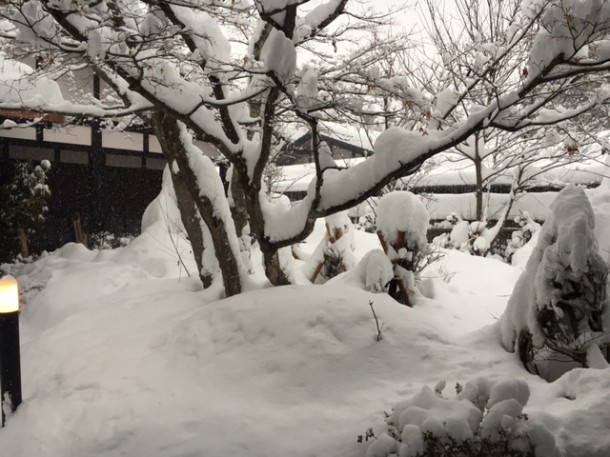 大雪です