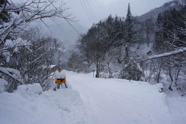 大雪です