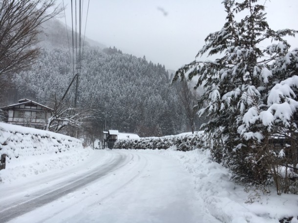 ようやく真冬の景色に戻りました。