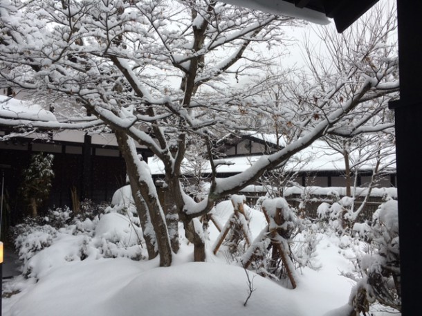 ようやく真冬の景色に戻りました。