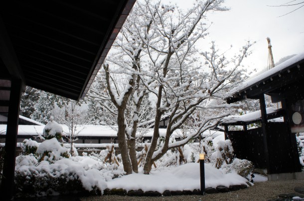 美しい雪景色になりました。