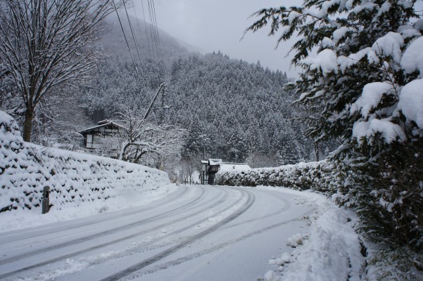 美しい雪景色になりました。