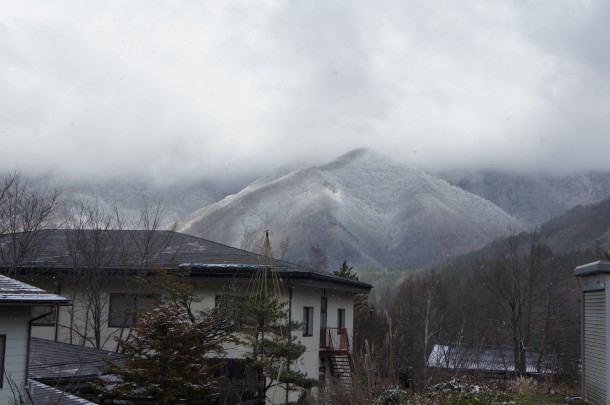 ３度目の雪です♪