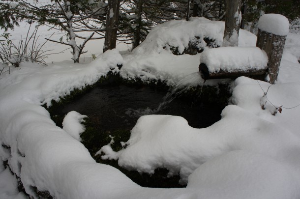 今冬2度目！雪が積もりました。