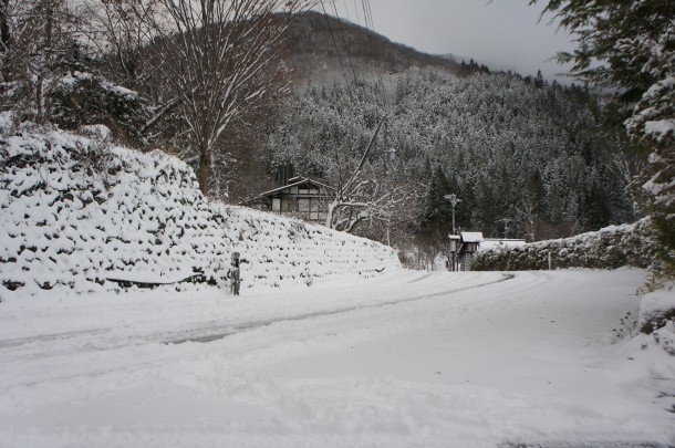 今冬2度目！雪が積もりました。