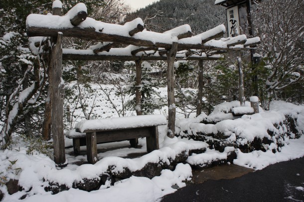 今冬2度目！雪が積もりました。