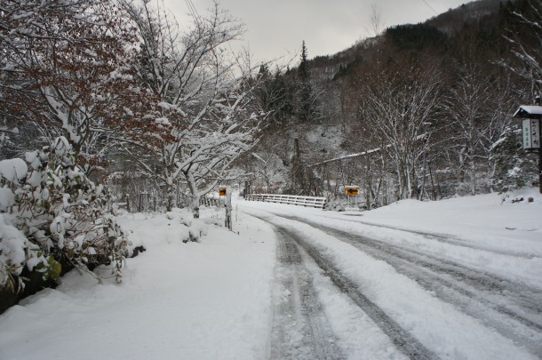 今冬2度目！雪が積もりました。