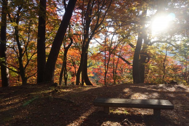 紅葉と一緒に文化の秋もいかがでしょう？後編