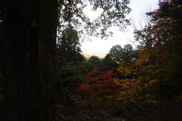 紅葉と一緒に文化の秋もいかがでしょう？後編