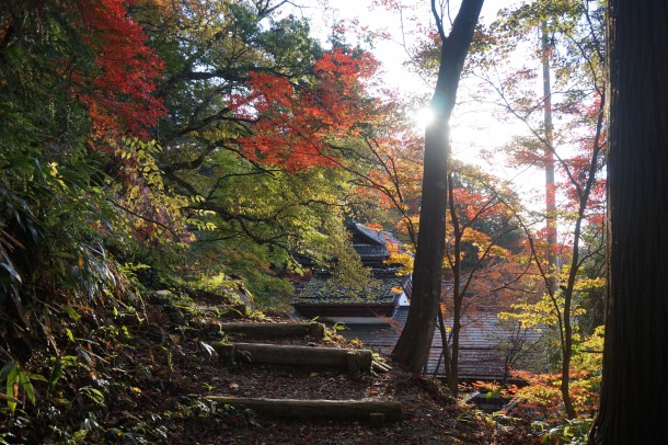 紅葉と一緒に文化の秋もいかがでしょう？後編