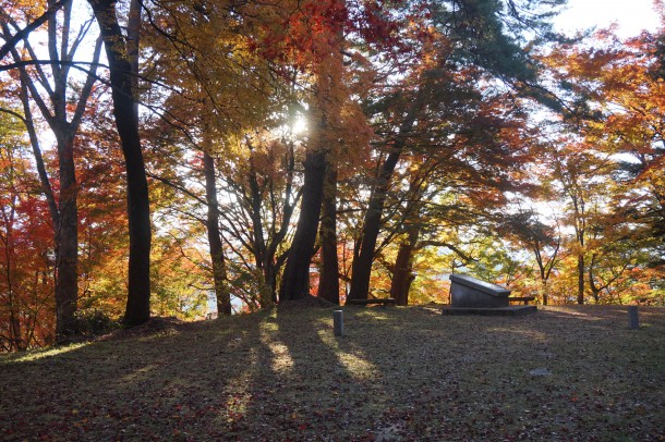 紅葉と一緒に文化の秋もいかがでしょう？後編