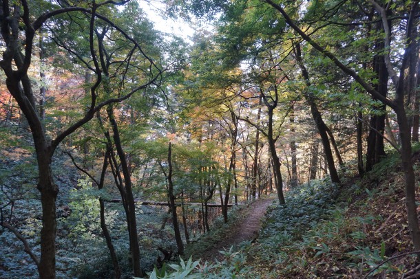 紅葉と一緒に文化の秋もいかがでしょう？後編