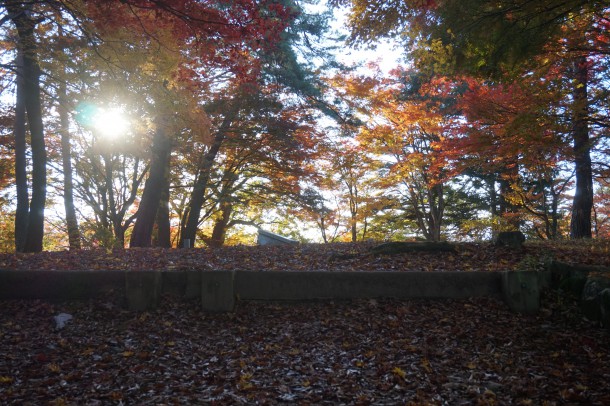 紅葉と一緒に文化の秋もいかがでしょう？後編