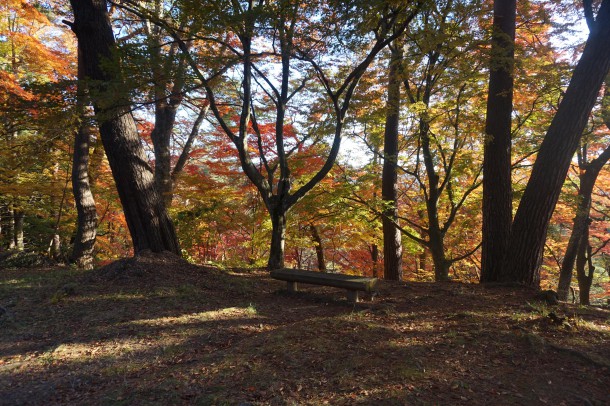 紅葉と一緒に文化の秋もいかがでしょう？後編