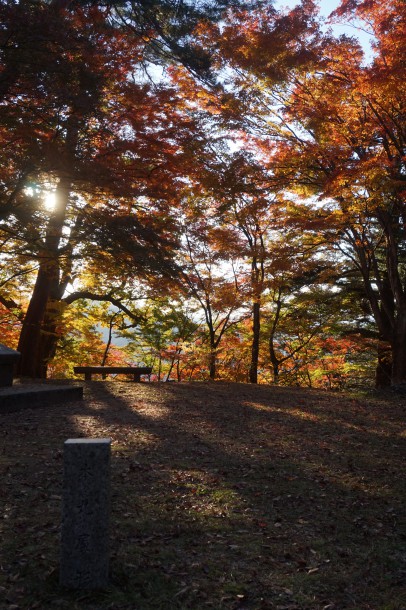 紅葉と一緒に文化の秋もいかがでしょう？後編