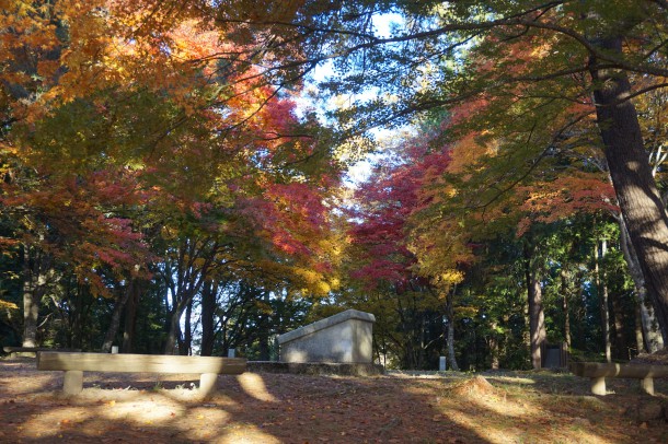 紅葉と一緒に文化の秋もいかがでしょう？後編