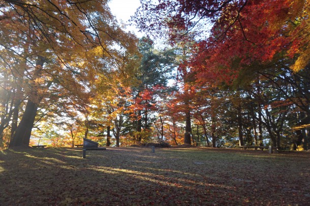 紅葉と一緒に文化の秋もいかがでしょう？後編