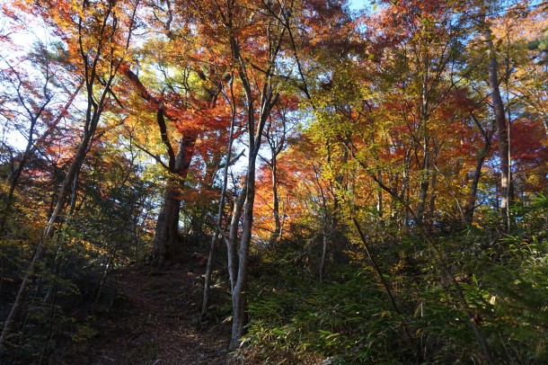 紅葉と一緒に文化の秋もいかがでしょう？後編