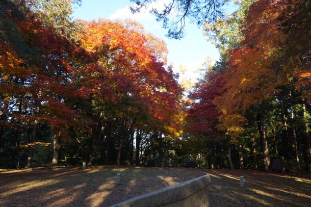 紅葉と一緒に文化の秋もいかがでしょう？後編