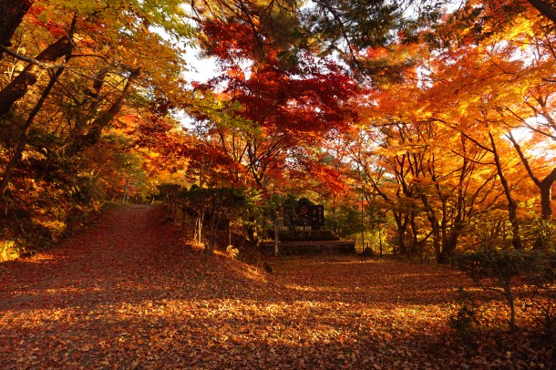 紅葉と一緒に文化の秋もいかがでしょう？後編