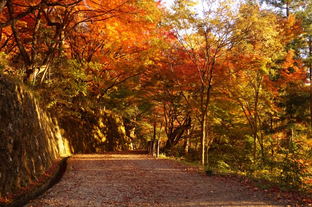 紅葉と一緒に文化の秋もいかがでしょう？後編