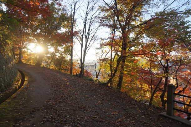 紅葉と一緒に文化の秋もいかがでしょう？後編