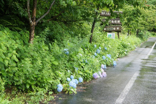 台風の翌日といえば？