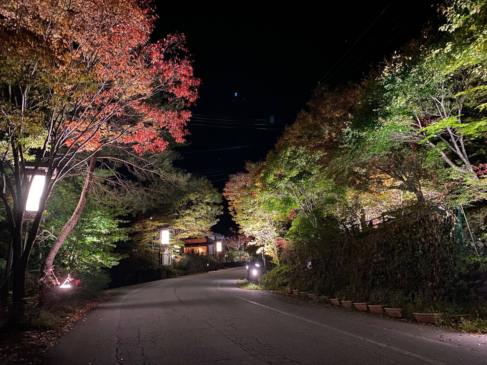 紅葉の町並みライトアップイベントのご案内。