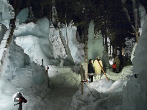 青だるイベントのご案内