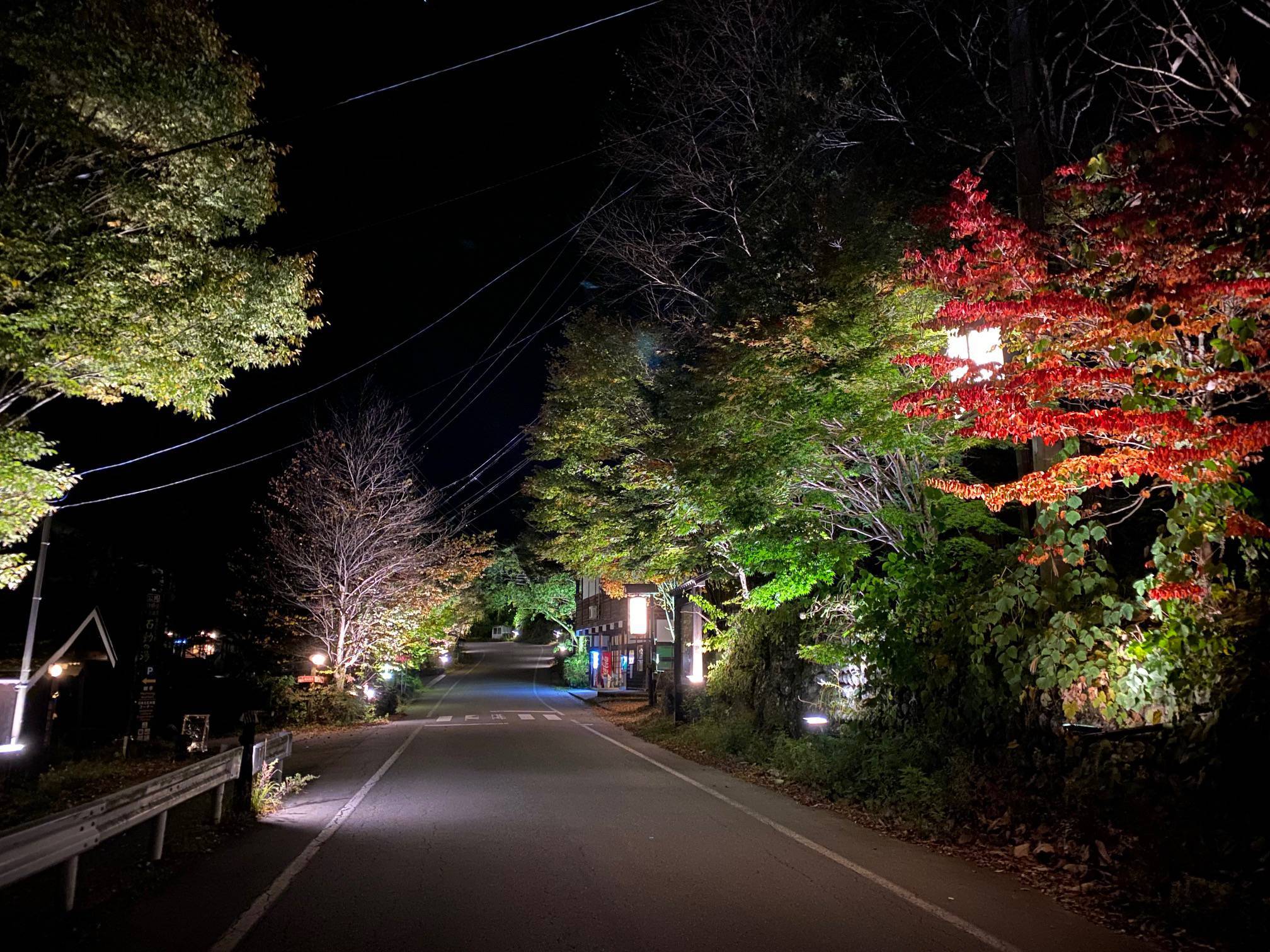 紅葉の町並みライトアップイベントのご案内。